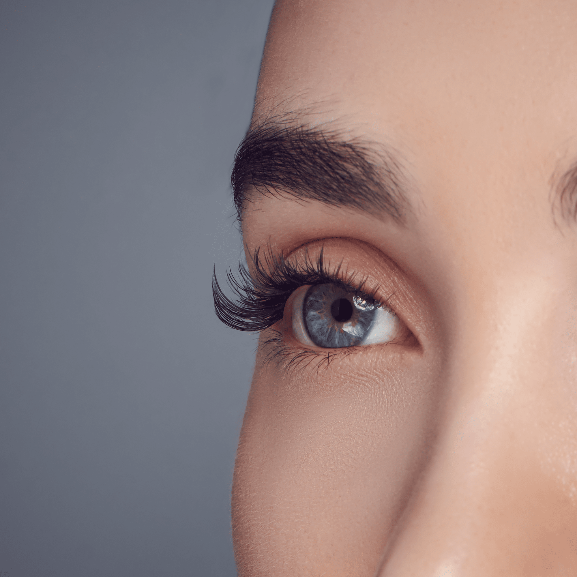 FALSCARA Multipack - Classic Wispy