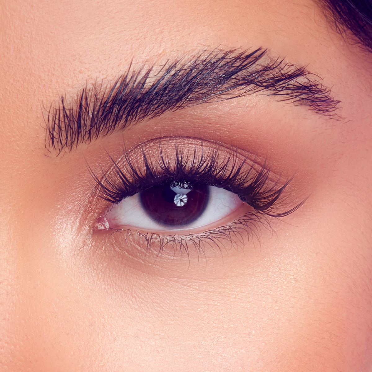 FALSCARA STUDIO Lash Palette - Xtra Spiky