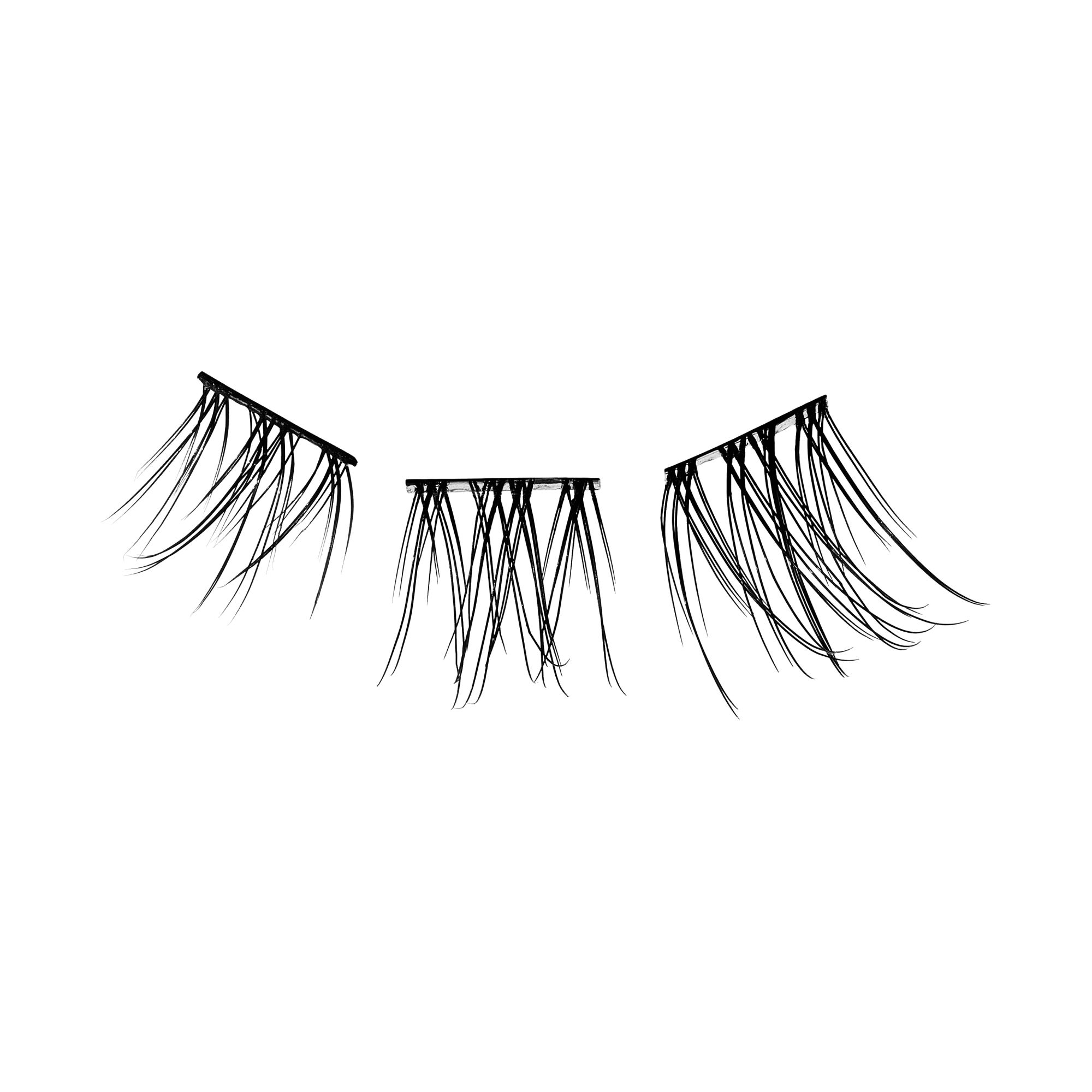 Set of false eyelashes on a transparent background