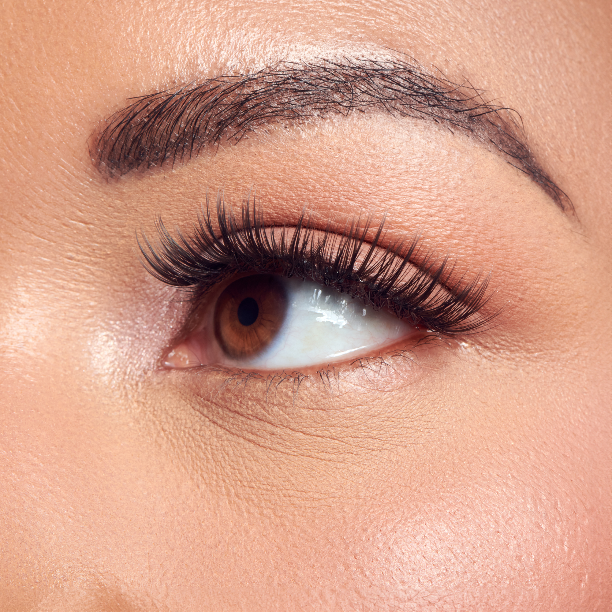 FALSCARA Classic Wispy Mega Multipack - 50 Wisps