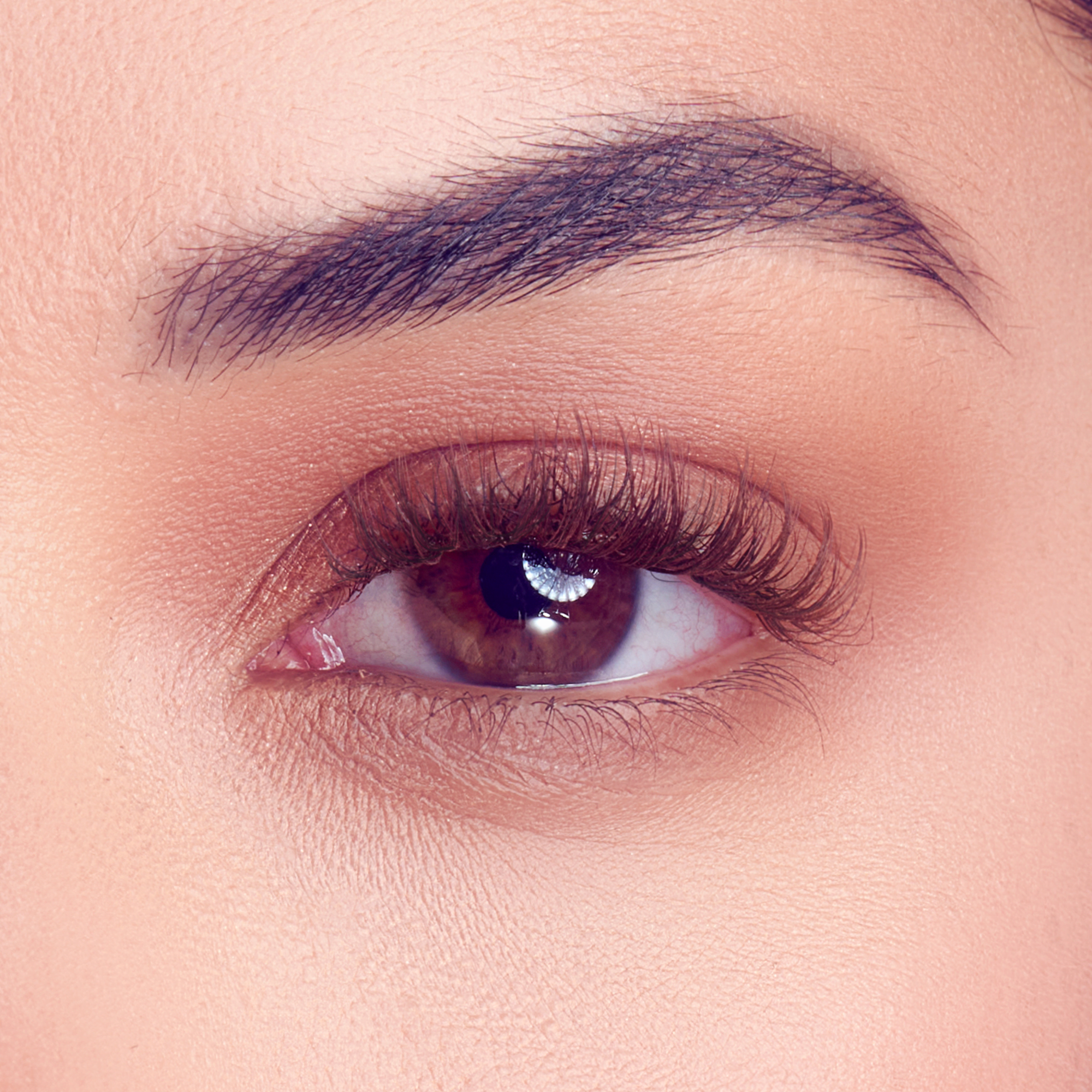 FALSCARA STUDIO Lash Extension Kit - Dark Chocolate