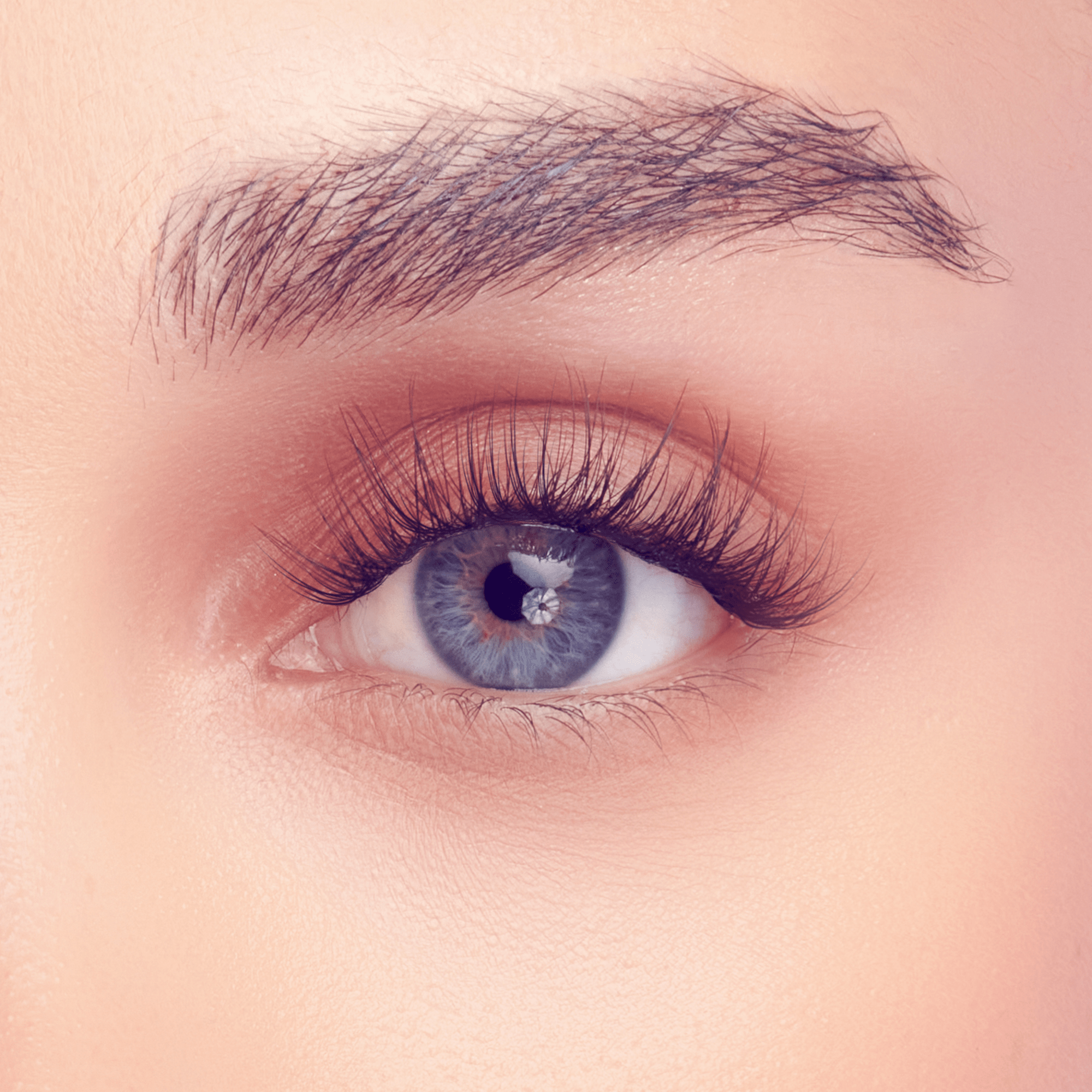 Falscara Studio Lash Extension Kit - Delicate | DIY False Lash Extensions, Natural, Cluster Lash, Wispy Lashes, 54 Wisps, 8mm-12mm