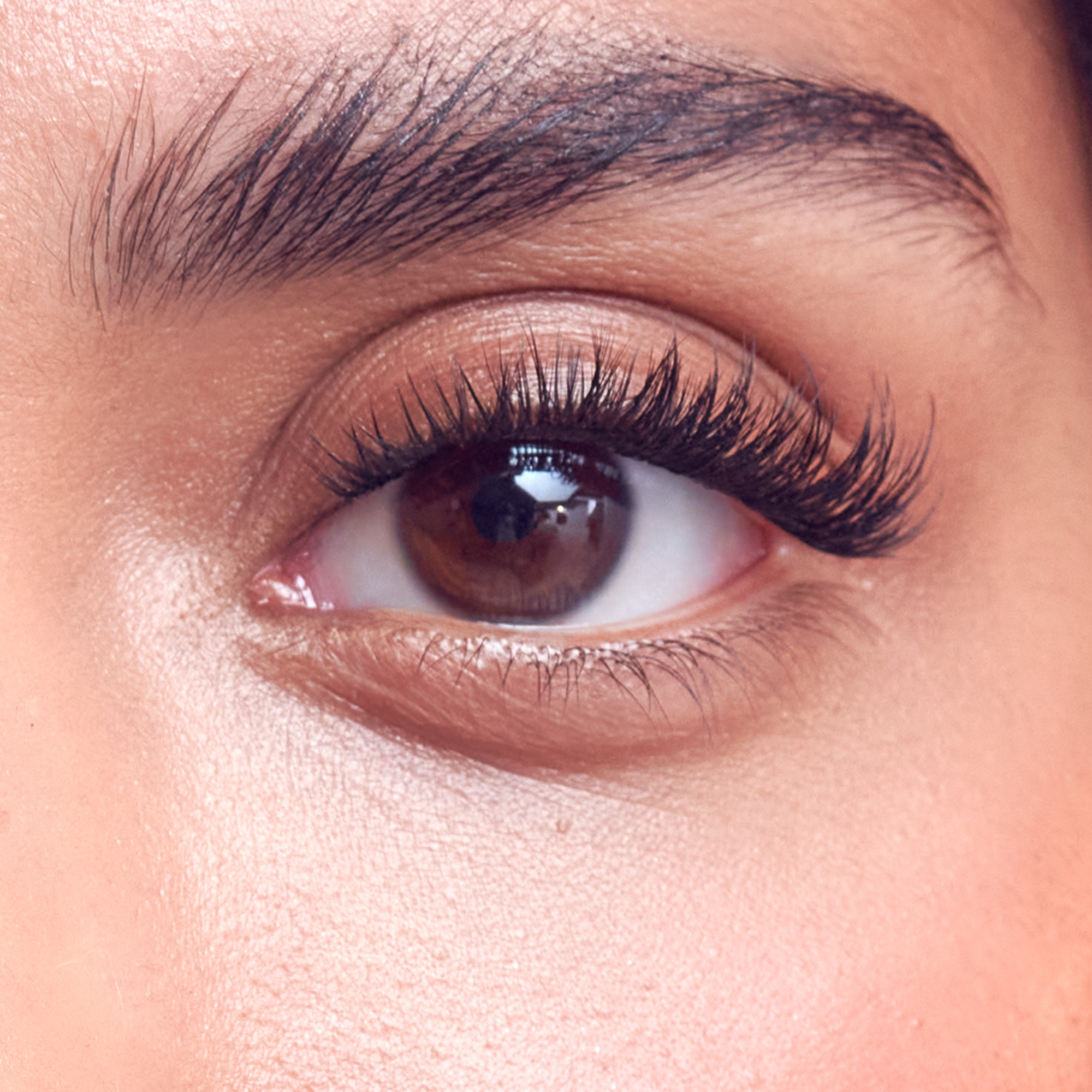 FALSCARA Studio Mini On-The-Go Kit – Classic Volume