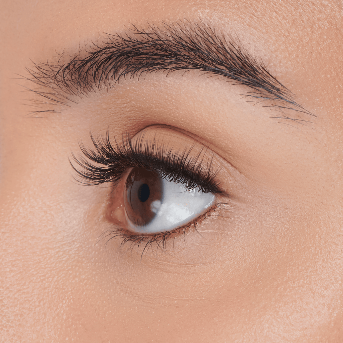 Falscara Faux Mink Wispy Mega Multipack | DIY False Lash Extensions, Cluster Lash, Wispy Lashes, 70 Wisps, 8mm-16mm