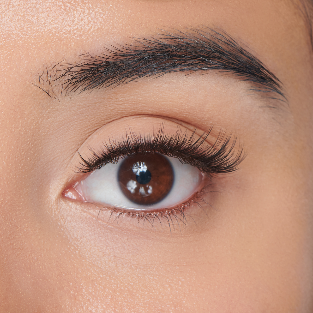 Falscara Faux Mink Wispy Mega Multipack | DIY False Lash Extensions, Cluster Lash, Wispy Lashes, 70 Wisps, 8mm-16mm