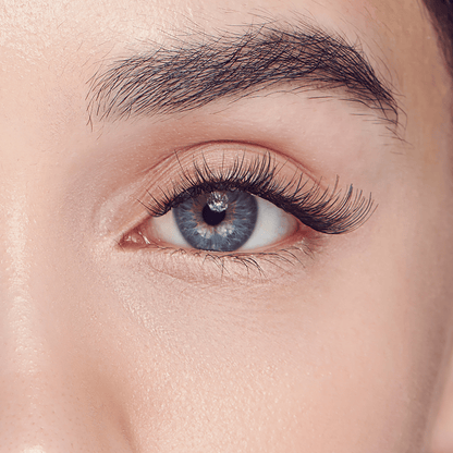 FALSCARA Multipack - Classic Wispy