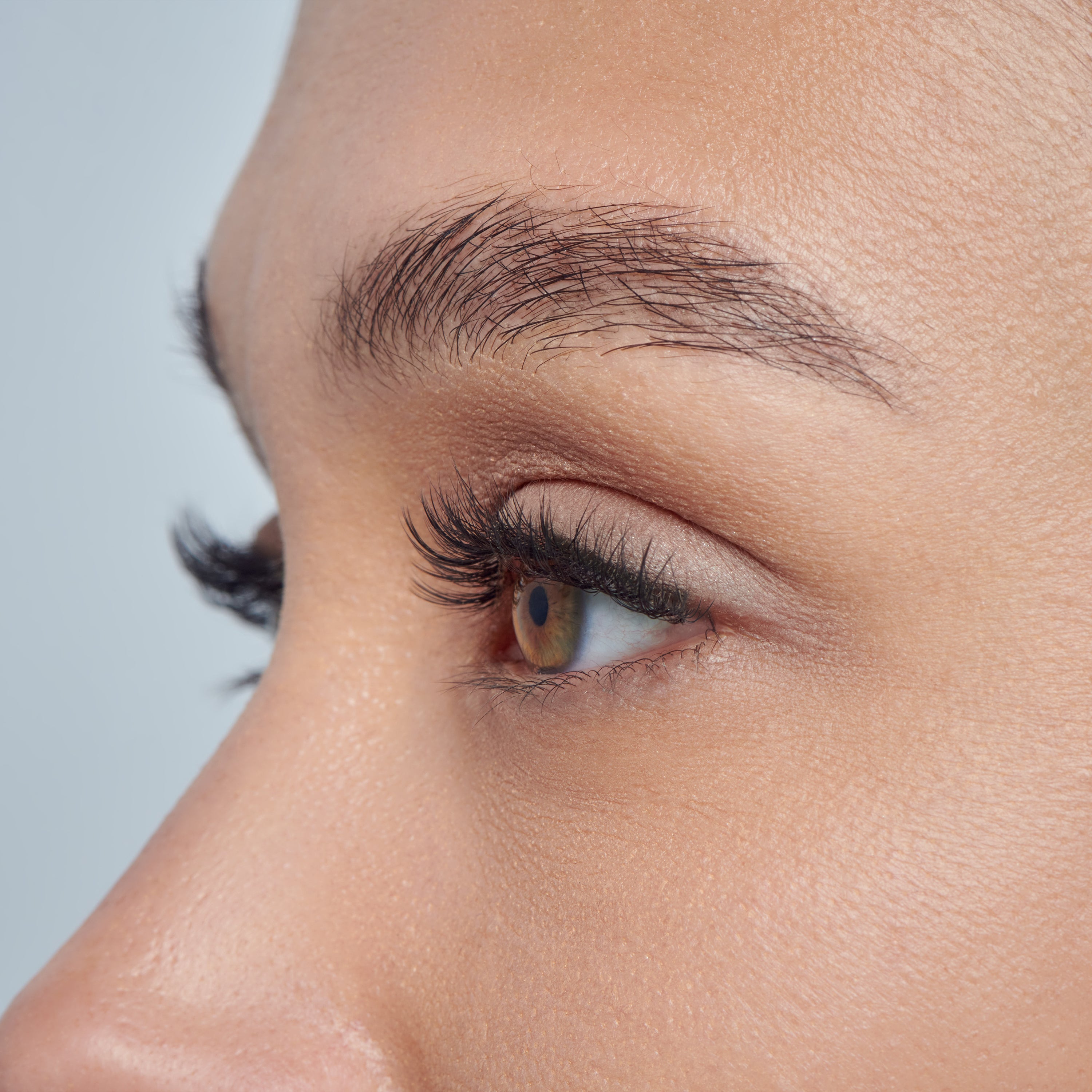 Falscara Clear Band Natural Multipack | DIY False Lash Extensions, Nat