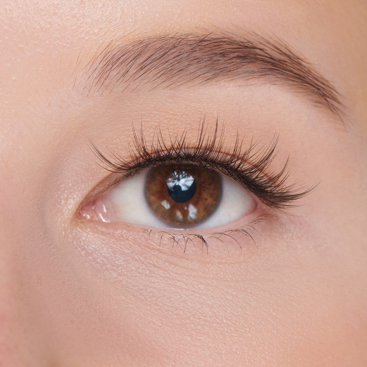 Falscara Faux Mink Natural Mega Multipack | DIY False Lash Extensions, Cluster Lash, Wispy Lashes, 70 Wisps, 8mm-16mm