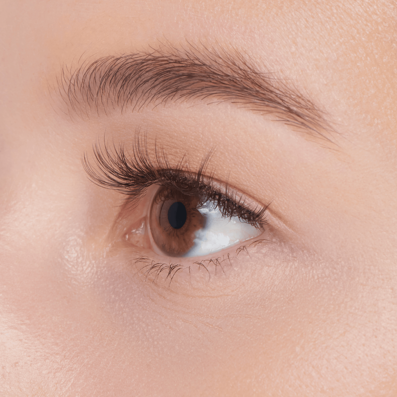 Falscara Faux Mink Natural Mega Multipack | DIY False Lash Extensions, Cluster Lash, Wispy Lashes, 70 Wisps, 8mm-16mm