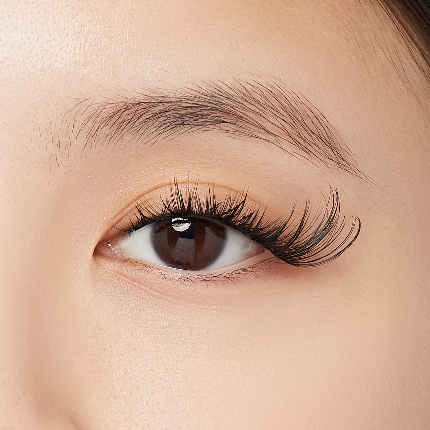 FALSCARA Wisps Multipack – Cat Eye