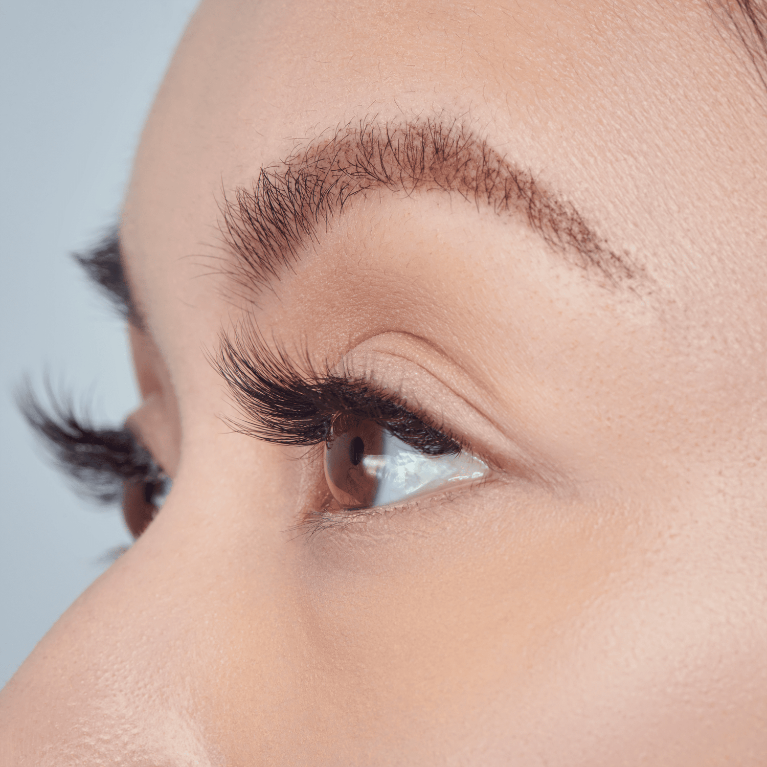 FALSCARA Wisps Faux Mink Multipack – 24 Wisps