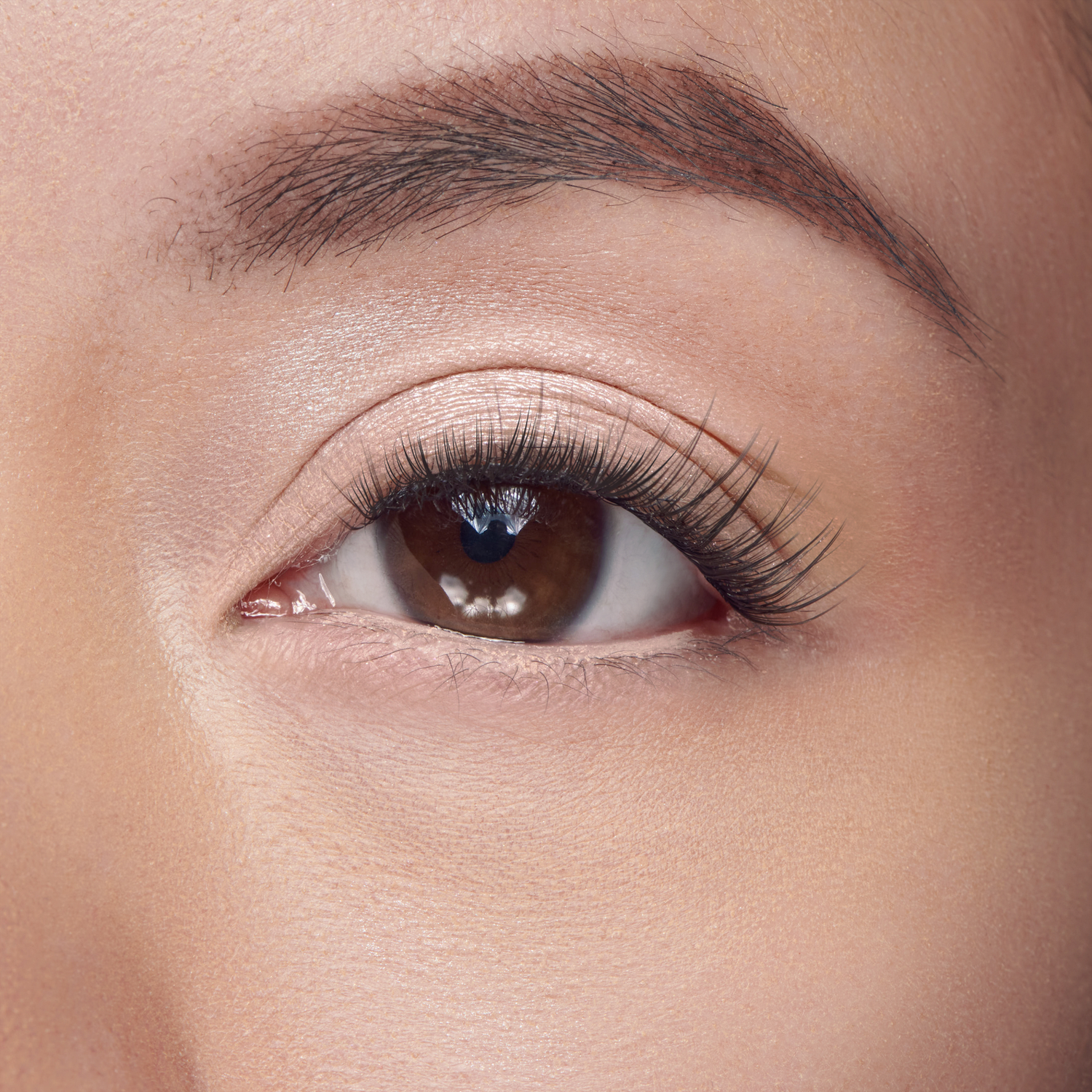 Falscara Classic Natural Mega Multipack | DIY False Lash Extensions, Cluster Lash, Wispy Lashes, 70 Wisps, 8mm-16mm