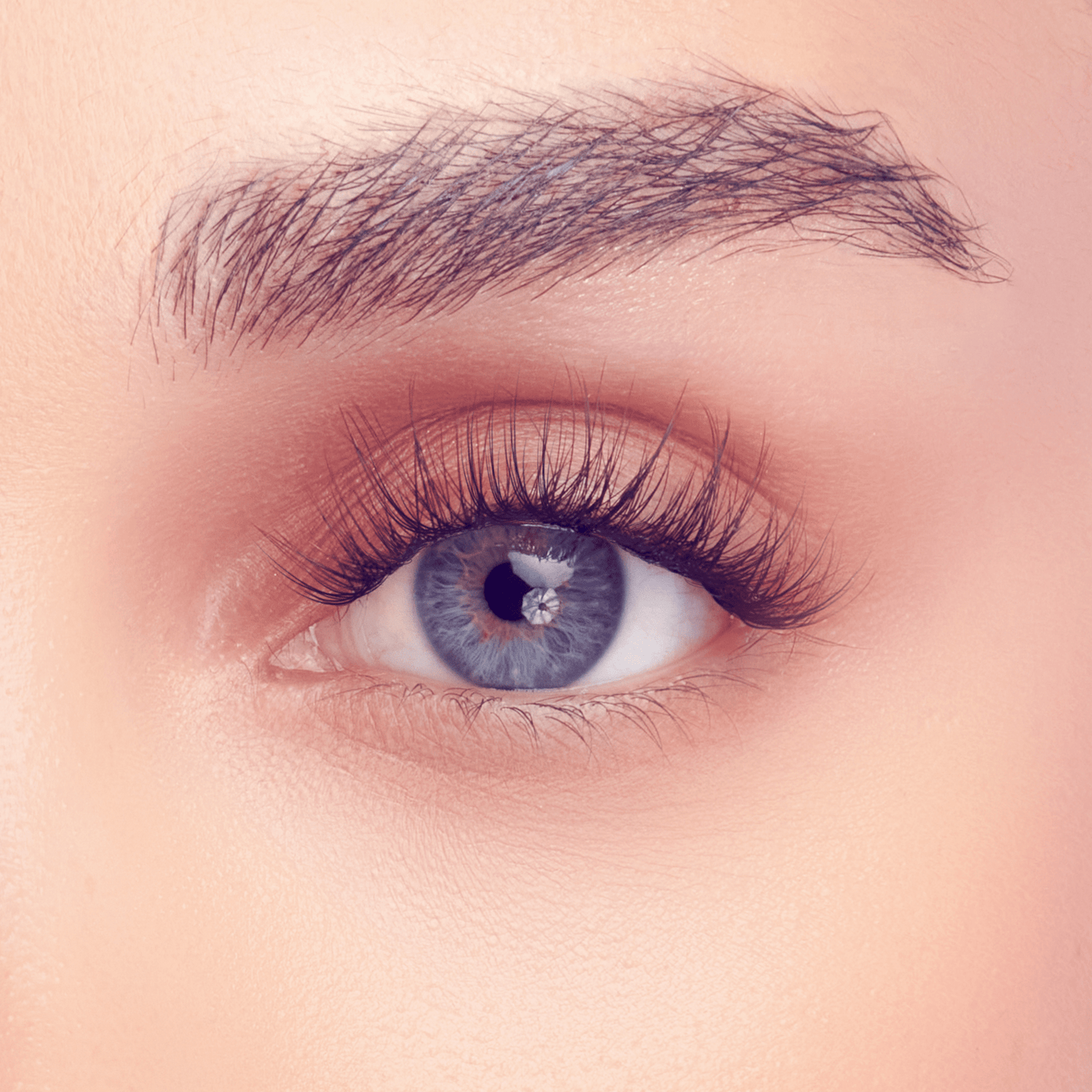 Falscara Studio Lash Extension Kit - Delicate | DIY False Lash Extensions, Natural, Cluster Lash, Wispy Lashes, 54 Wisps, 8mm-12mm