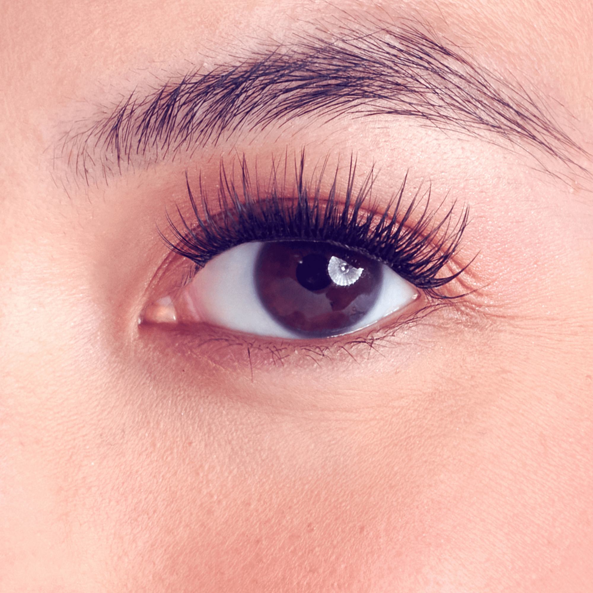 Close-up of a person&